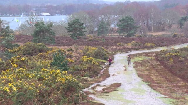 Family walking calm and relax in  Frensham Country Park. South of Farnham, Surrey. UK