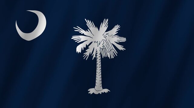 South Carolina State Flag Waving, Palmetto Tree 4K Animation