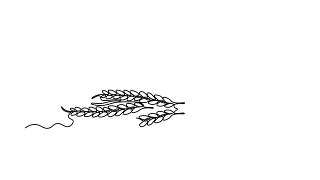 Abstract Ears of wheat and loaf of bread, Self drawing animation one continuous line draw, logo