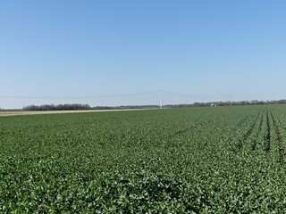 Hiking in the Argonne forest in France	
