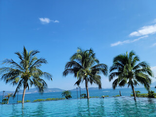 Aerial View of Nha Trang Beach with Turquoise Sea and Palm Trees, Vietnam