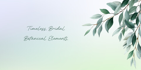 Watercolor eucalyptus branches creating elegant botanical frame, perfect for timeless wedding, bridal shower, and nature inspired celebration designs © Narin