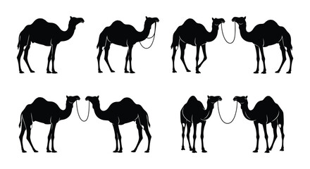 Silhouettes of camels in various poses against a white background