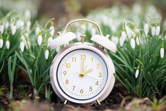 Switch to daylight saving time in spring, summertime changeover, alarm clock with snowdrop flowers in spring