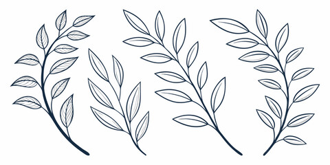 Delicate line art of various leafy branches and foliage in a symmetrical arrangement © Mamun