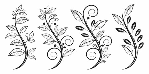 Intricate black and white floral designs with swirling leaves and delicate stems