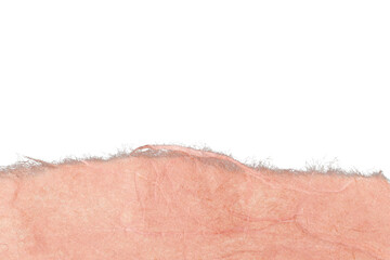 【透過背景】破いたピンク色の和紙のテクスチャ。繊細な毛羽立ちが美しい和紙の切り抜き素材