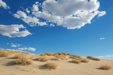 Sand dunes in California