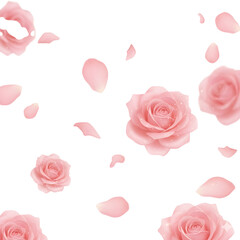 Pink rose petals falling on white background elegant floral minimalist decoration texture