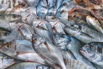 Obraz premium Fresh fish displayed on the fish counter, fresh sea bream for sale