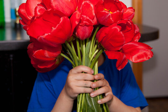 A bouquet of red tulips, a large bouquet of flowers in hands, a background of blooming tulips, a gift bouquet from a child to a mother, congratulations on March 8 and a birthday.
