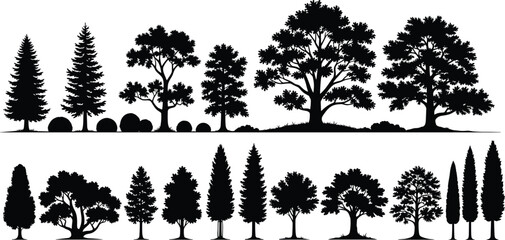 Black silhouettes of various trees on white background 1 © Shamim creative 