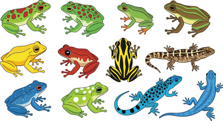 Fototapeta premium Colorful Frog and Salamander Species Collection Cartoon Vector Illustration Set of Amphibians in Different Poses