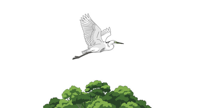 A white egret with outstretched wings is illustrated flying above a cluster of green trees on a clean white background.