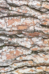 Textured abstract backgrounds	
