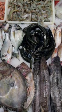 Fresh sea creatures arranged neatly. Arrangement of various fish on ice