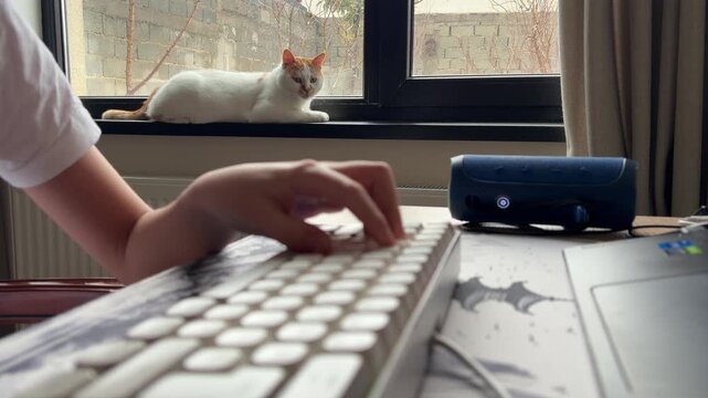Person typing on computer keyboard with cat on windowsill
