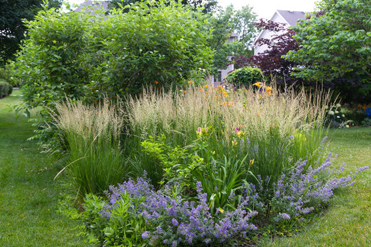 Tall, columnar, low maintenance and drought resistant, Karl Foerster Feather reed grasses are a beautiful living fence providing privacy and tranquility in this lush backyard retreat.  
