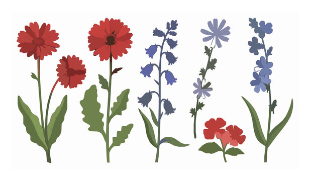 Hand drawn wildflower vector set with gerbera bluebell and chicory flowers isolated on white