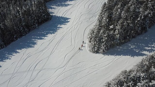 Aerial view of a trio of winter sports enthusiasts on skis ascending a steep slope in single file, with several tracks zigzagging through the freshly snow-covered forest. Mont-Castor, Matane, Quebec.