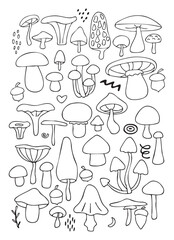Obraz premium Collection of hand drawn mushrooms and forest elements isolated on light background. Various гриб shapes in simple black outline doodle style. Botanical vector illustration.
