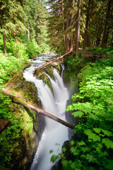 Obraz premium Sol Duc Falls in Olympic National Park, Washington, USA