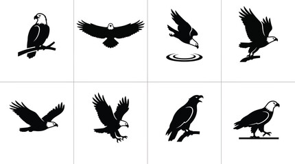 Fototapeta premium Vector illustrations of various eagle poses showcasing flight and hunting behavior