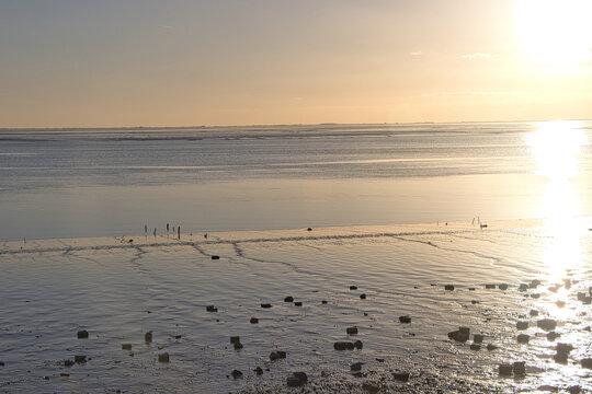 Watt bei Ebbe im Abendlicht an der Nordsee