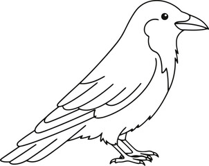 Obraz premium Bird coloring page vector outline illustration for kids