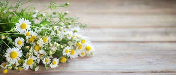 Fototapeta premium Bouquet of chamomile and mallow on wooden background, summer banner for rustic style, selective focus.