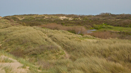 Fototapeta premium . Dune landscape along the north sea coast in Ostend, Flanders, Belgium 