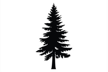 Black silhouette of a tall coniferous evergreen tree on a white background vector illustration © MdZabed