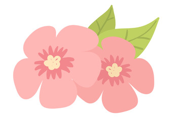 Fototapeta premium Vector illustration of pink flowers with green leaves. Flat design floral element isolated object.