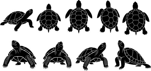 Silhouette of turtles in various positions black on white background silhouette © Vecto_Pixels