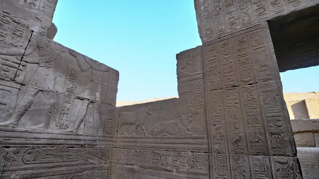 Kom Ombo temple ruins with double columns and composite capitals against clear blue sky in Egypt, ancient Ptolemaic architecture dedicated to Sobek and Horus with damaged walls.