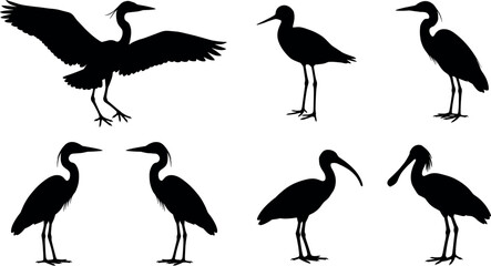 Fototapeta premium Vector Silhouette Set of Wetland Birds Including Heron, Egret, Crane, and Ibis in Various Poses for Nature Wildlife and Water Bird Design Projects.