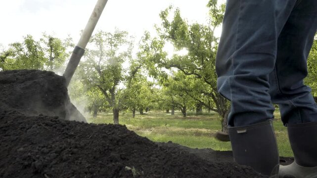 Close-up footage of a farm worker on a moving trailer shoveling compost onto an orchard.