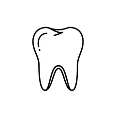 Obraz premium Dental Illustration Depicting Healthy Tooth Morphology, Perfect for Dentistry-Related Design