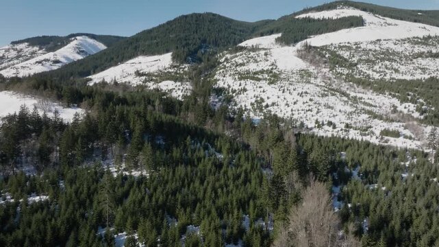 Aerial drone footage over a mountain forest setting with clear cutting in winter.