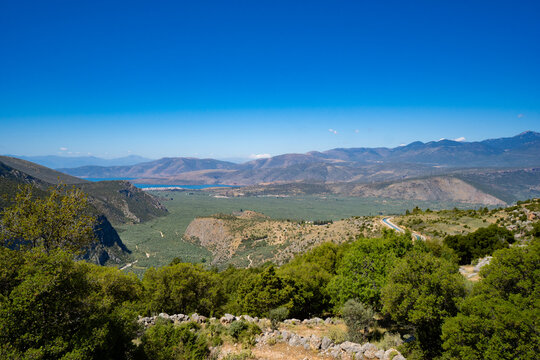 High-Angle Panoramic Vista of the Sacred Olive Groves in the Crissaean Plain and the Gulf of Corinth, Greece