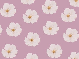 Elegant seamless floral pattern featuring delicate white watercolor blossoms with golden-yellow centers, evenly spaced across a solid dusty mauve background for a sophisticated and feminine textile de © ALEXO444