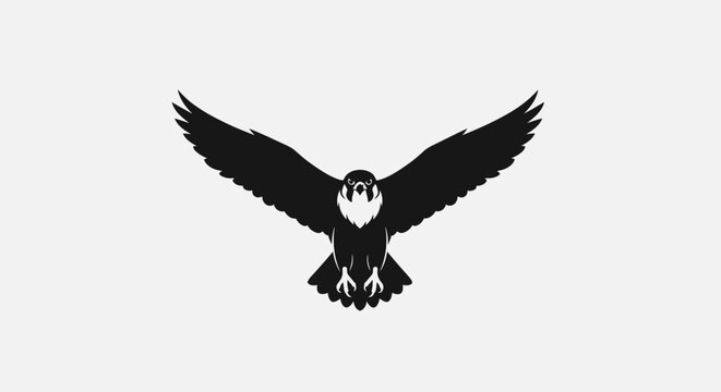 Black bird flying with wings spread.