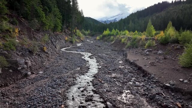 Aerial drone clip over and evergreen forest and river in the American West.