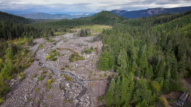Aerial drone clip over and evergreen forest and river in the American West.