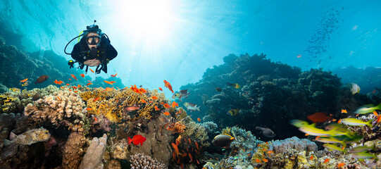 Scuba Diver Swimming in Deep Sea with Sunrays and Beautiful Coral Reef with Colorful Fishes