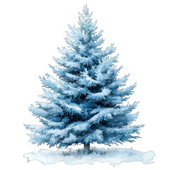 Obraz premium Blue watercolor spruce tree with snow in winter forest landscape