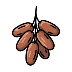 Simple illustration depicts a small bunch of brown dates hanging from a single dark stem against white.