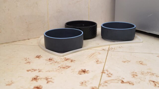 Brown muddy paw prints scattered on light tile floor beside three pet bowls on a feeding mat, messy home interior showing dirt tracked indoors by dog, stains and smears across the foreground tiles