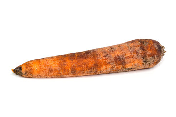 Rotten Carrot: Spoiled Produce, Decay, Edible Waste, and Kitchen Hygiene