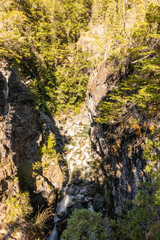 Obraz premium canyon in the forest